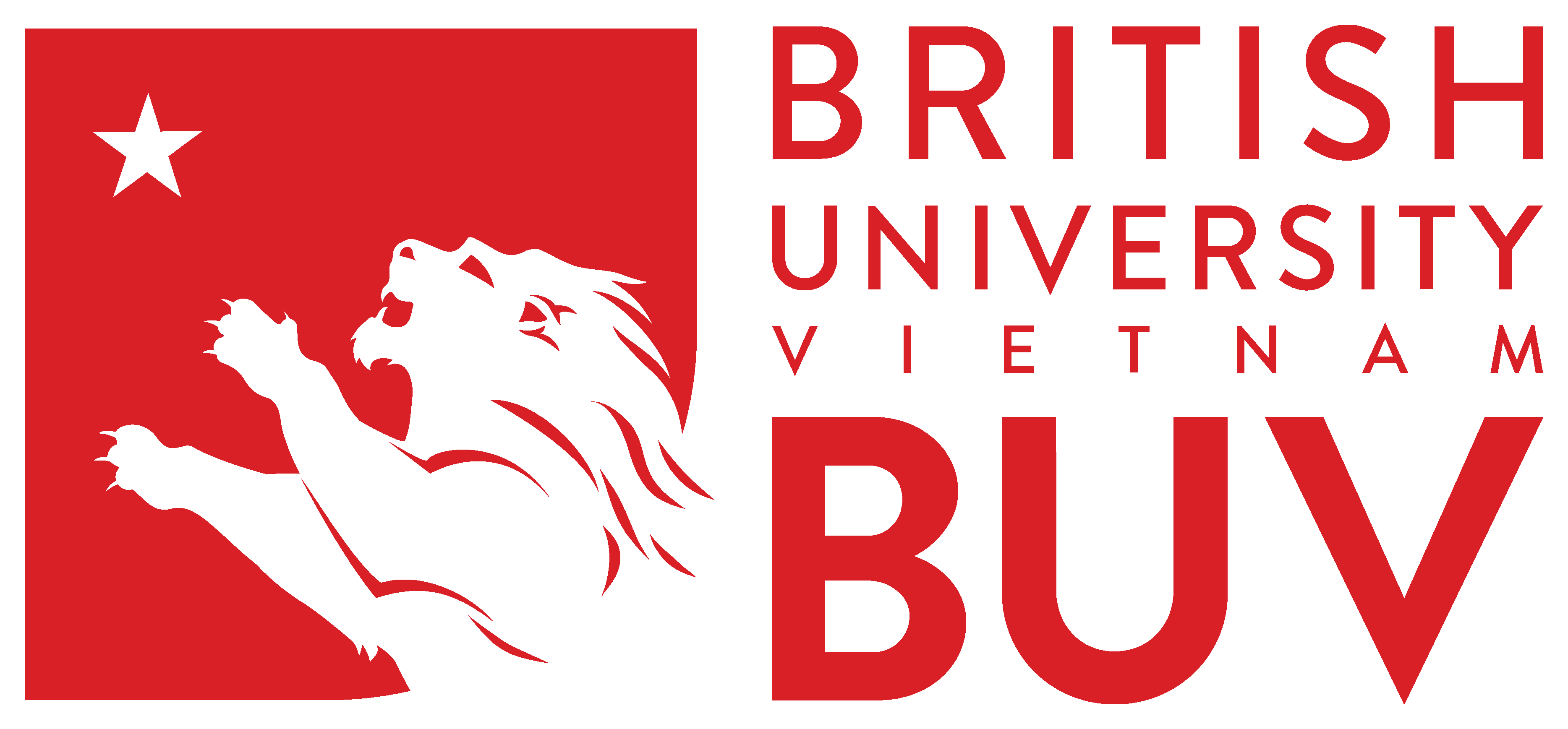 British University Vietnam